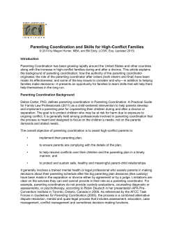 Parenting Coordination and Skills for High