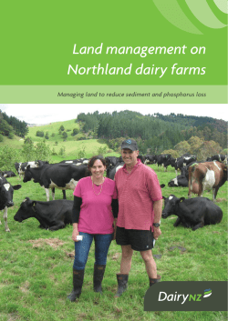Land management on Northland dairy farms