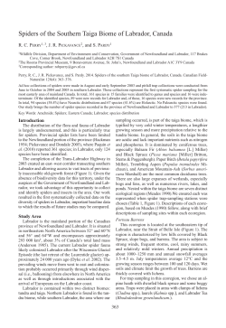 Spiders of the Southern Taiga Biome of Labrador, Canada