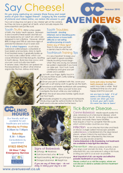 Summer 2016 - Avenues Veterinary Clinic