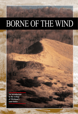 borne of the wind - Michigan Natural Features Inventory