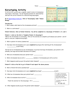 Karyotyping Activity