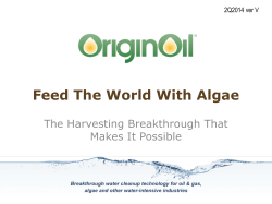 Feed The World With Algae