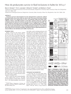 How do prokaryotes survive in fluid inclusions in halite for 30 k.y.?