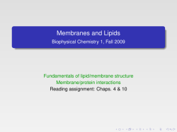 Membranes and Lipids