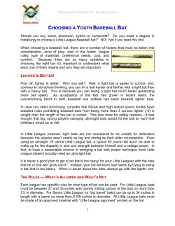 Choosing a Youth Baseball Bat