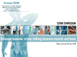Bone - Cerin