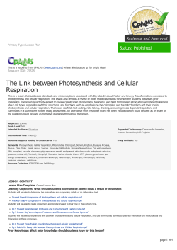 The Link between Photosynthesis and Cellular Respiration