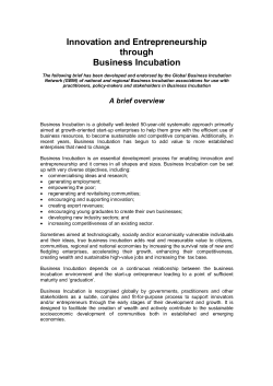 Business Incubation Summary FINAL 090429