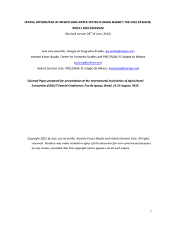 1 SPATIAL INTEGRATION OF MEXICO AND