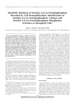 Metabolic Relations of Inositol 3,4,5,6