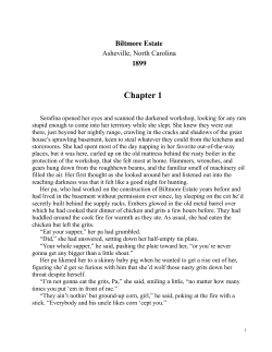 Chapter 1 Excerpt
