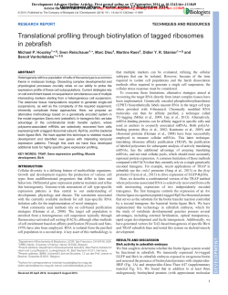 Translational profiling through biotinylation of tagged