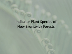 Indicator Plants of New Brunswick