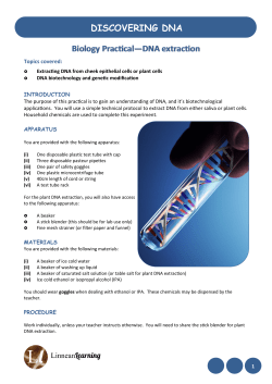 DISCOVERING DNA Biology Practical&mdash;DNA extraction