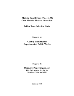 Honeydew Bridge Type Selection Study