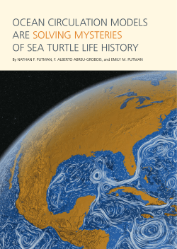 Ocean Circulation Models are Solving Mysteries of Sea Turtle Life