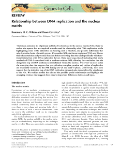 Relationship between DNA replication and the nuclear matrix
