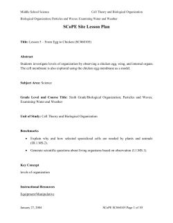 From Egg to Chicken Biological Organization Lab