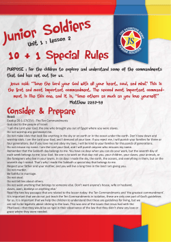 10 + 1 Special Rules