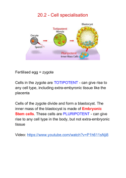 20.2 - Cell specialisation