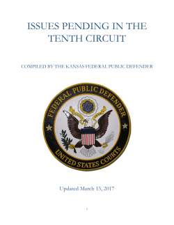issues pending in the tenth circuit