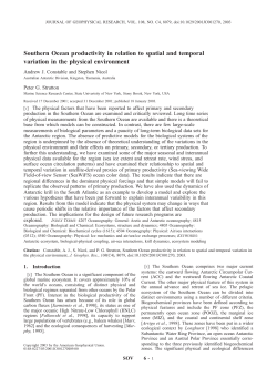Southern Ocean productivity in relation to spatial and temporal