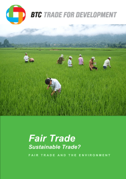 Fair Trade Sustainable Trade?