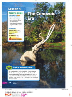 The Cenozoic Era