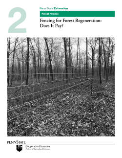 Forest Finance Fencing for Forest Regeneration: Does it