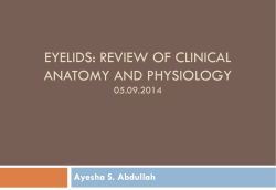 EYELIDS: REVIEW OF CLINICAL ANATOMY AND PHYSIOLOGY