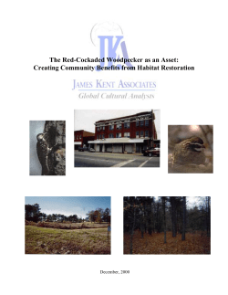 The Red-Cockaded Woodpecker as an Asset: Creating