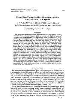 Extracellular Polysaccharides of Rhizobium Strains