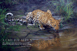 a call for africa - Native Visions Galleries