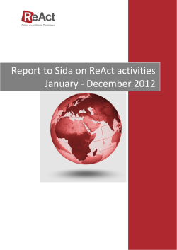 Report to Sida on ReAct activities January