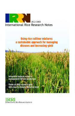 Exposure of Bangladeshi rice farmers to early flood risk - IRRI