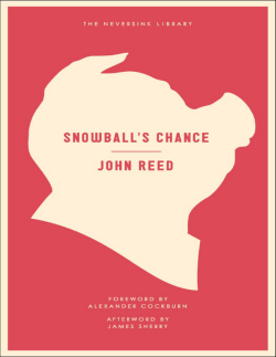 snowball`s chance - Ritter Illustration