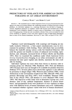predictors of vigilance for american crows foraging in an urban