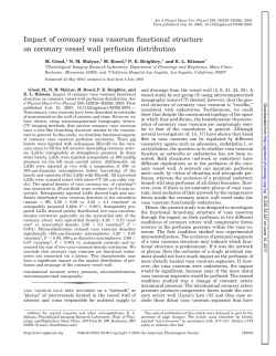 Impact of coronary vasa vasorum functional structure