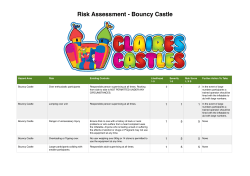 Risk Assessment Bouncy Castle