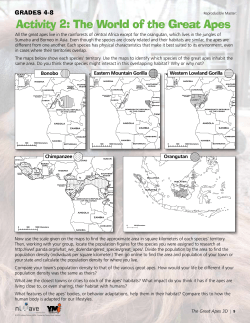 Activity 2: The World of the Great Apes