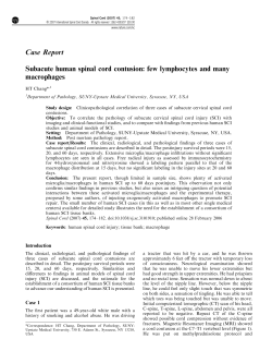Subacute human spinal cord contusion: few lymphocytes and many