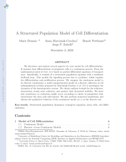 A Structured Population Model of Cell Differentiation