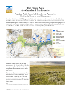 Freese Scale - Wild Sky Beef