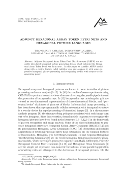 Adjunct hexagonal array token Petri nets and hexagonal picture