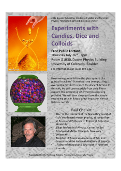 Paul Chaikin Public lecture flyer.pptx