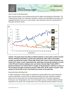Educator Materials Data Points Selective Breeding in Maize