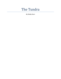 The Tundra