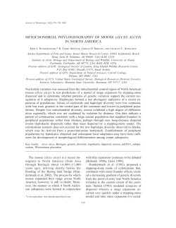 mitochondrial phylogeography of moose (alces