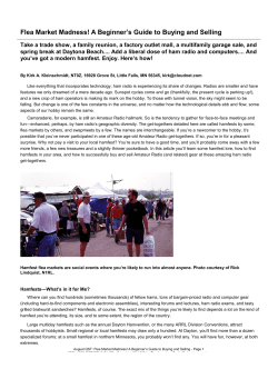 Flea Market Madness! A Beginner`s Guide to Buying and